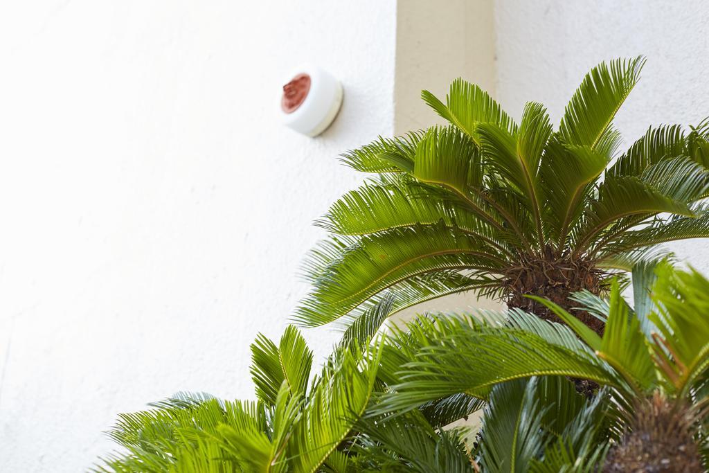 Okinawa Sun Plaza Hotel Naha Kültér fotó